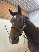 528751E4-FCB8-498C-A432-496F6853ED9C