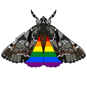 moths1-1
