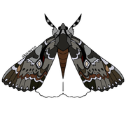 moths1