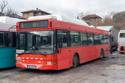 IMG-3373