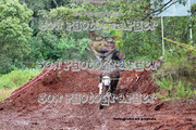 IMG-6454