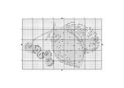 chernoplodnaya-ryabina-004