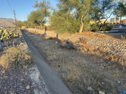 IMG-7564