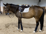 4B0D3241-10B6-443A-A482-8F43A5C9E3AA