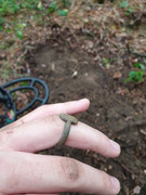 WhatsApp Image 2019-11-05 at 17.06.48