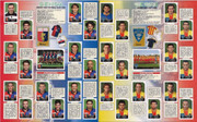 Album-Calciatori-2002-03-Panini-47