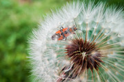 IMG-20190424-114248