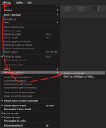 [Image: Capture-d-cran-2021-12-20-130225.jpg]