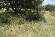 DSC-0048