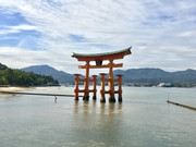 IMG-0678