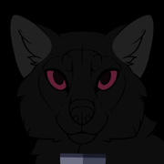 306006-Camp_Stories-C-Avi