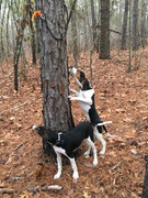 F40697D1-6699-4FF9-923C-AED7E078C0B7