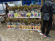 IMG20261017124939