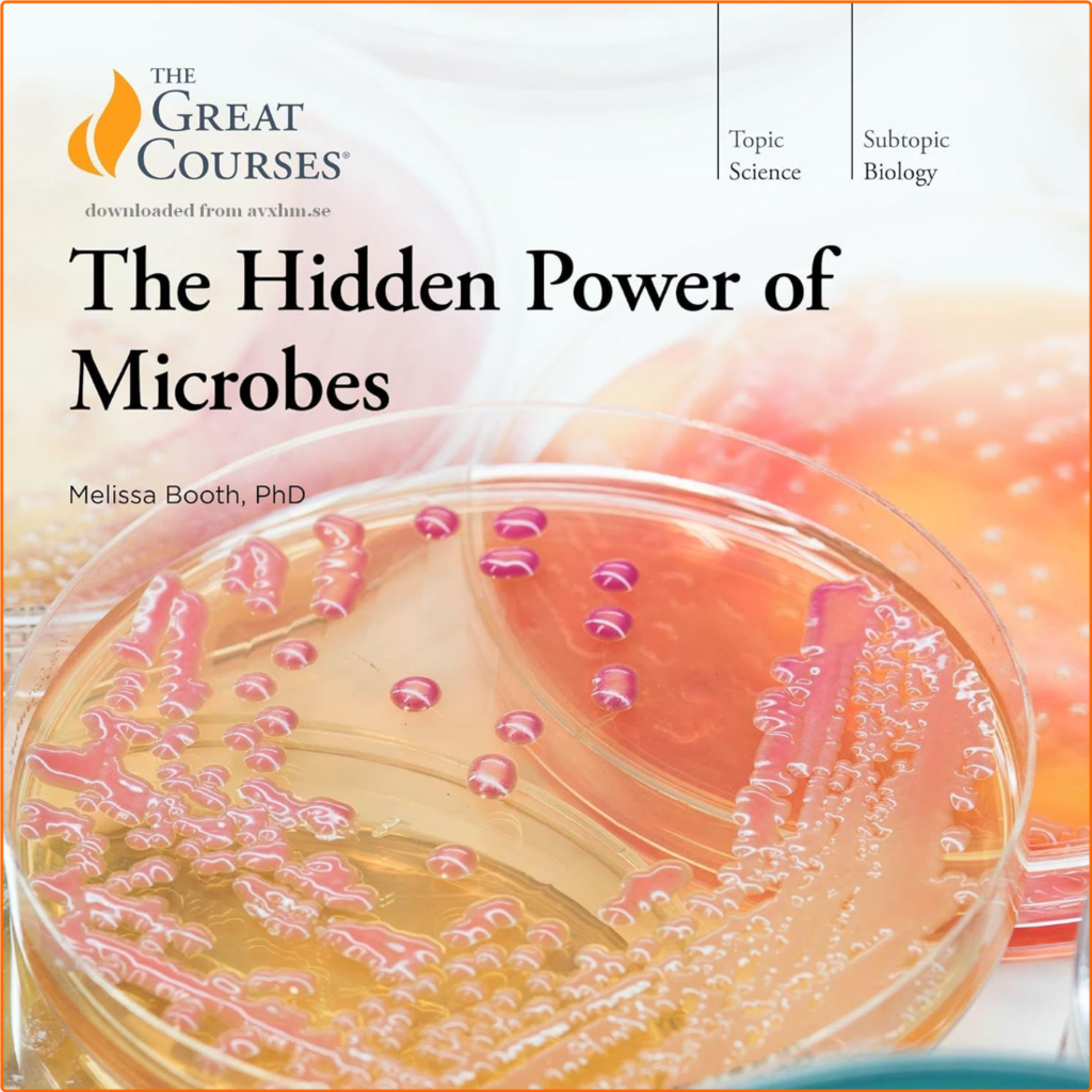 [Image: vv4mt9p6tcr7.png]