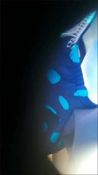 [Image: Voyeur33475151429.jpg]