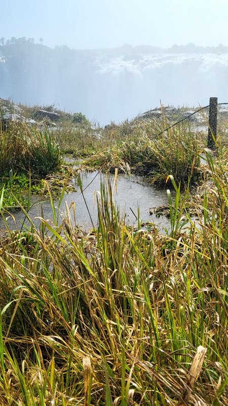 Африканские каникулы - зверики Крюгера, пески Намибии, воды Виктории