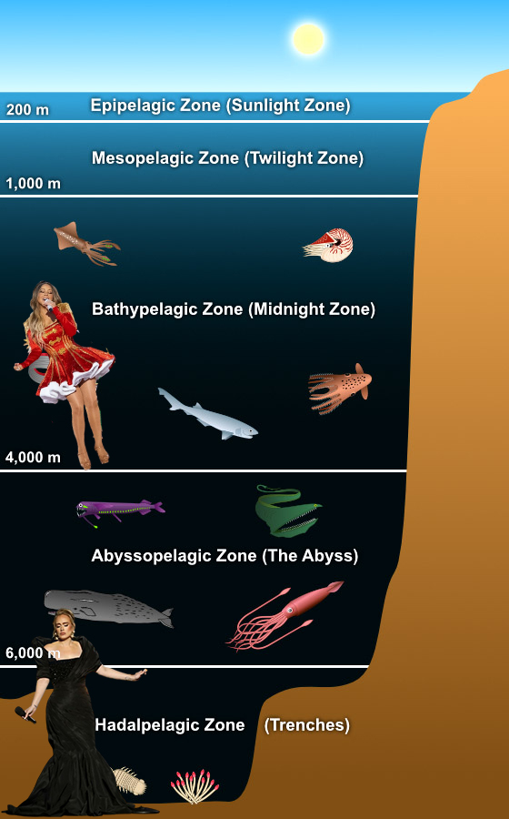 Bez-nazwy-1.jpg