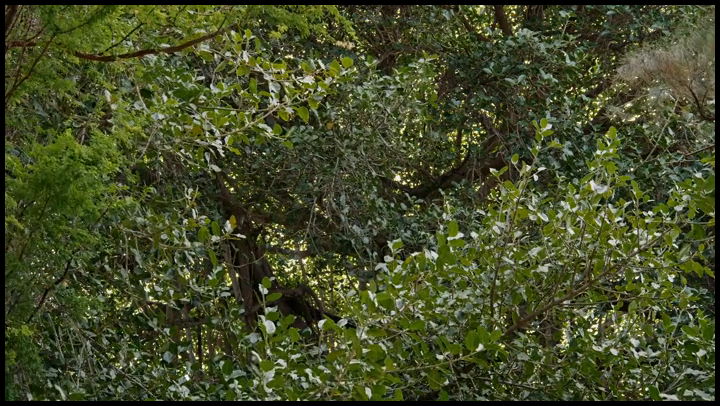 [Image: 6amegy0r3he6.png]