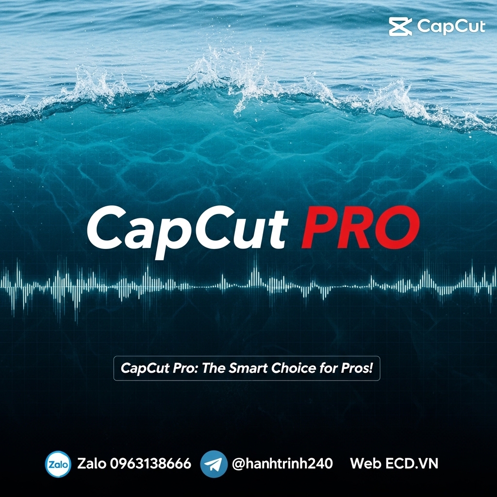 capcut purchase
