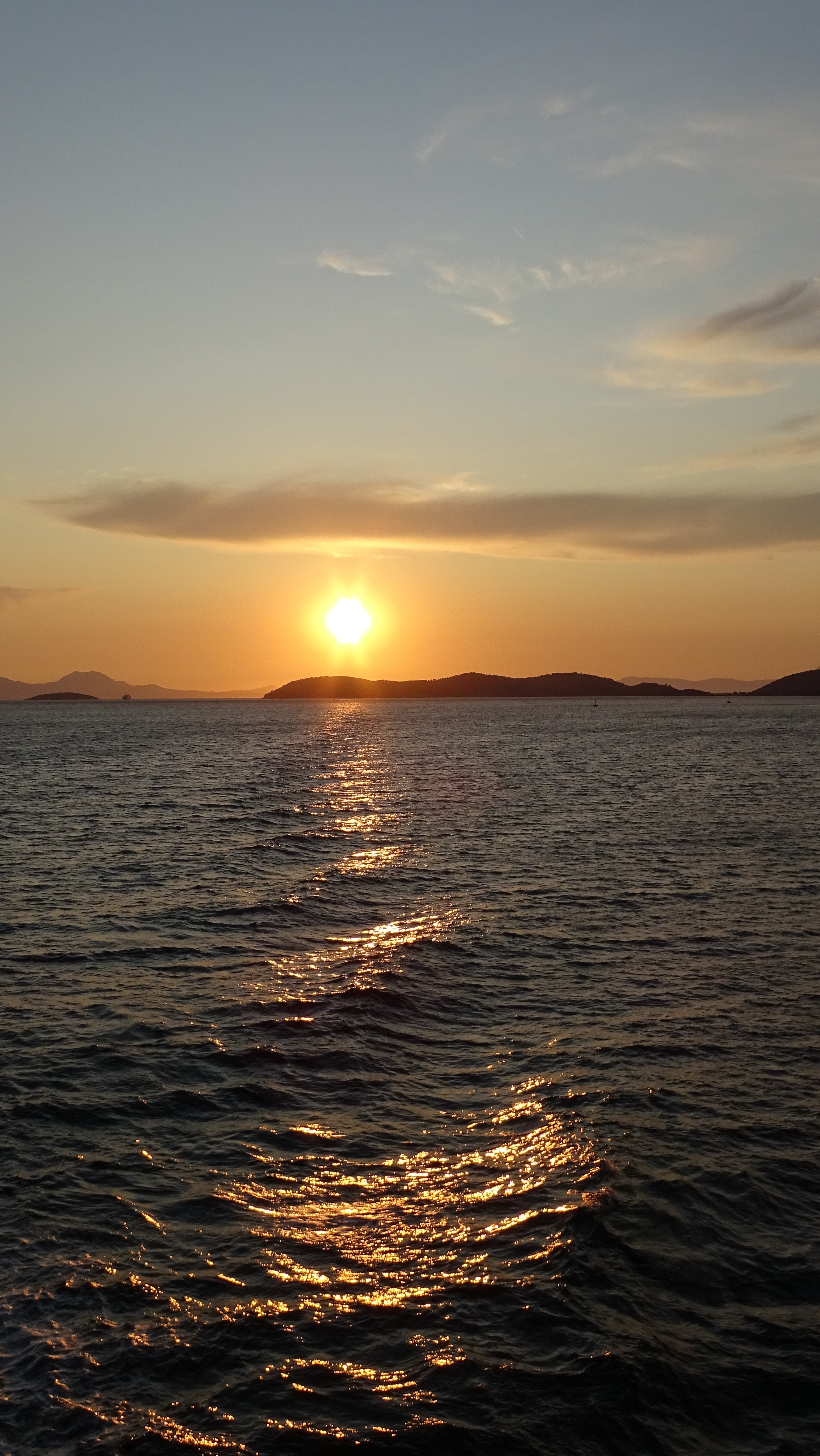 DSC02186.jpg