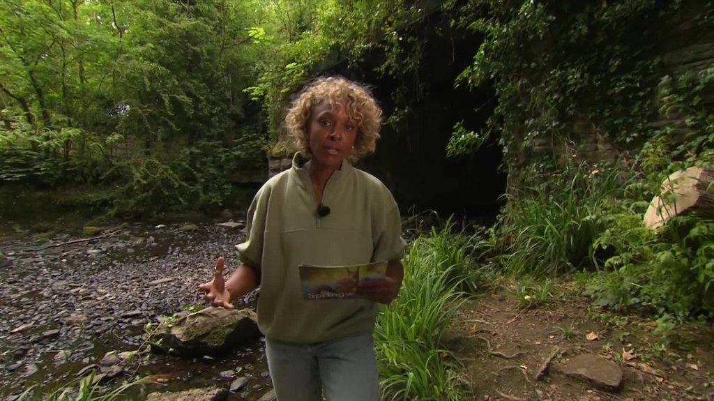 [Image: 8nxu8vzdz4y2.jpg]