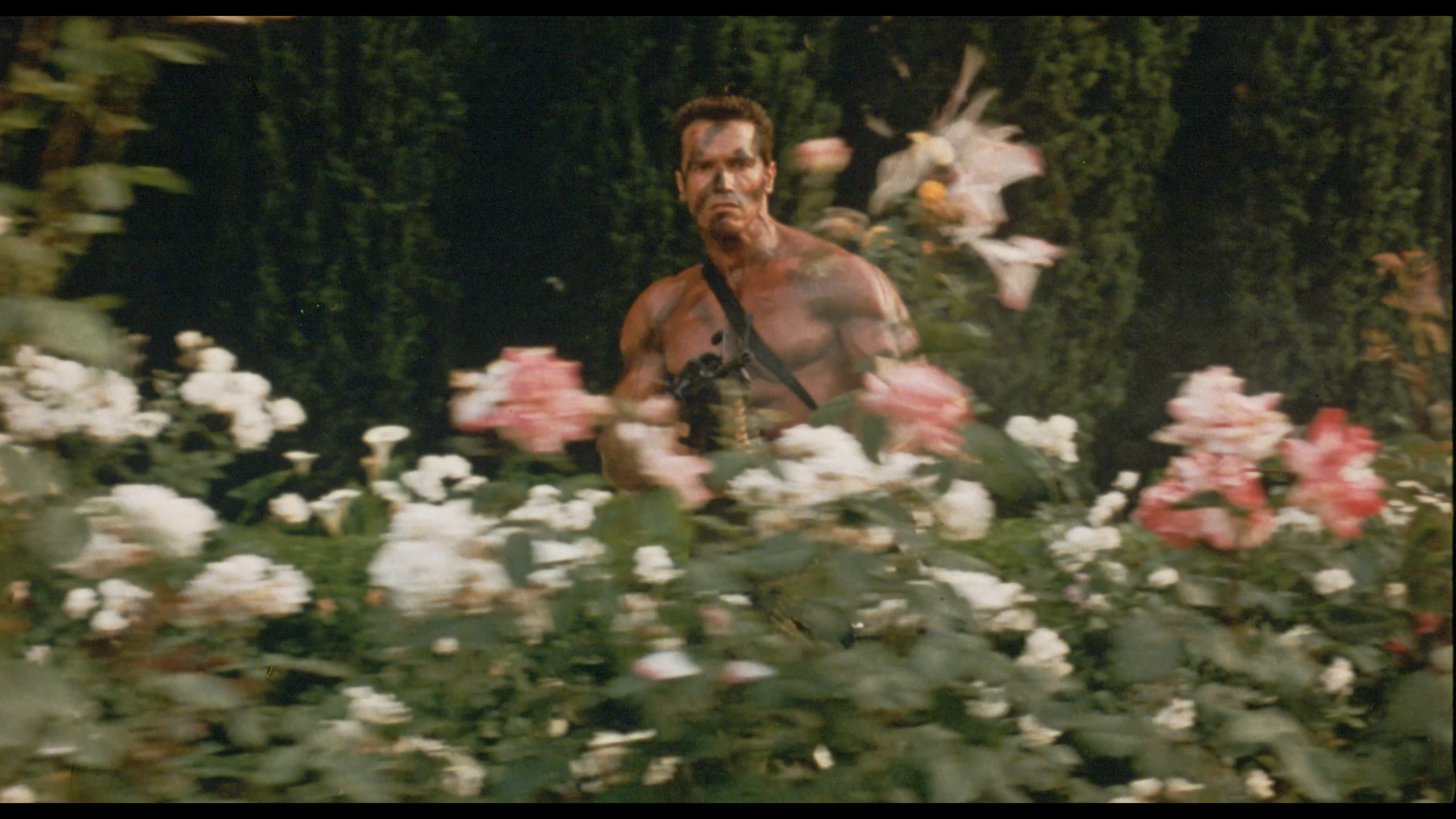 [Image: Commando-1985-35mm-2160p-HEVC-PCM-1-0-0007.png]