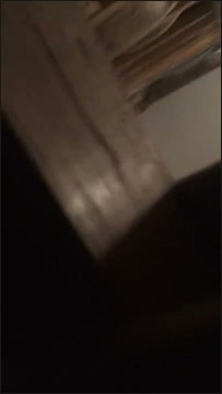 [Image: Voyeur23455111221.jpg]