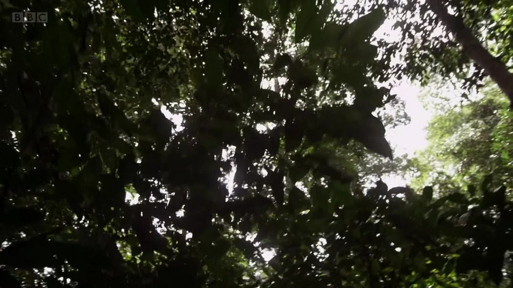 [Image: t5q8jh39pjfr.jpg]