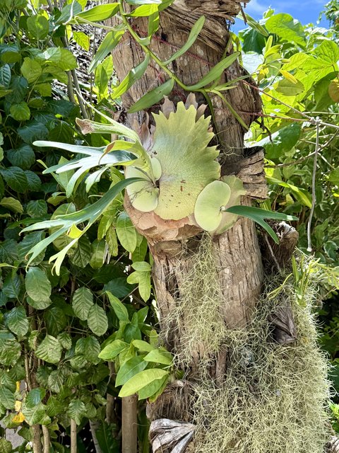 [Linked Image from i.postimg.cc]