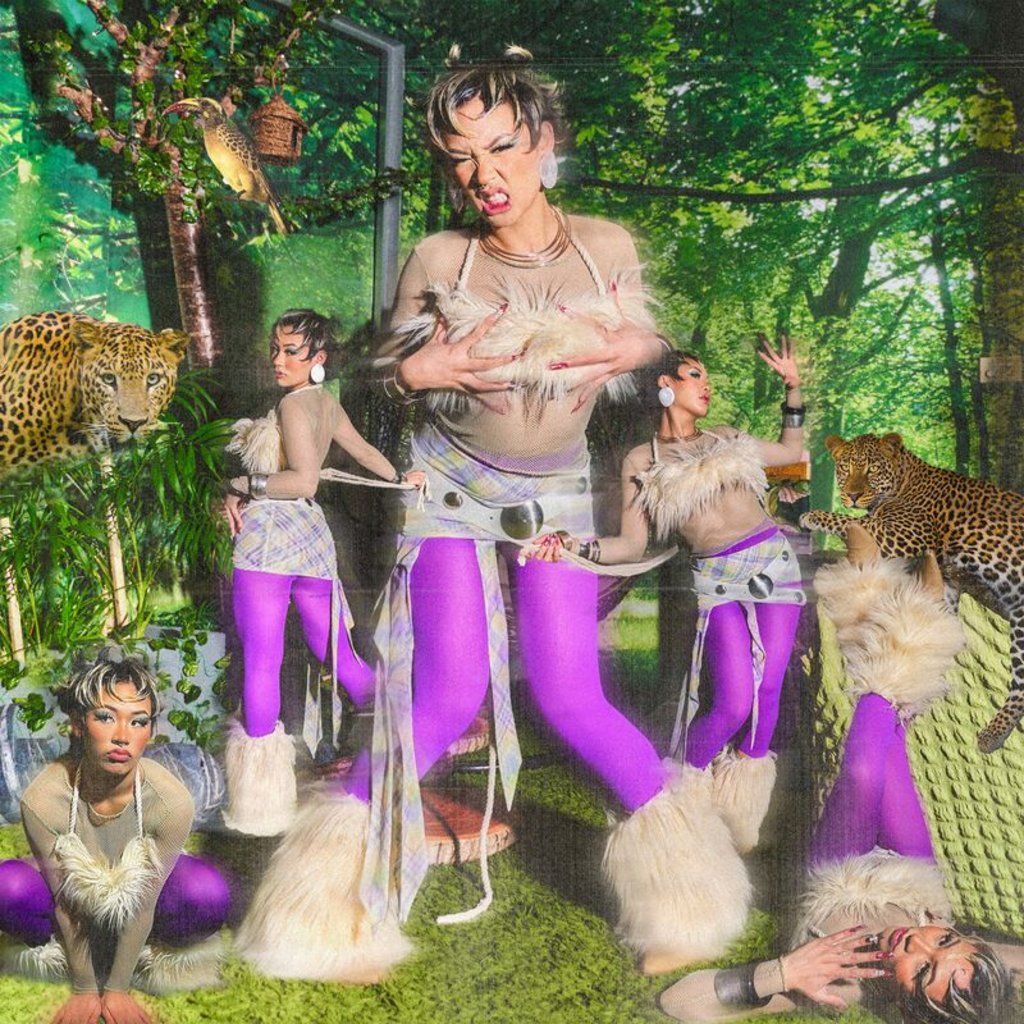 [Image: x2z8o8v6hxlk.jpg]