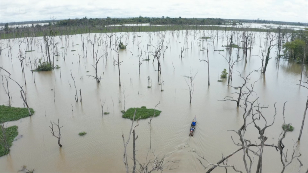 [Image: syc0vpim86p7.png]