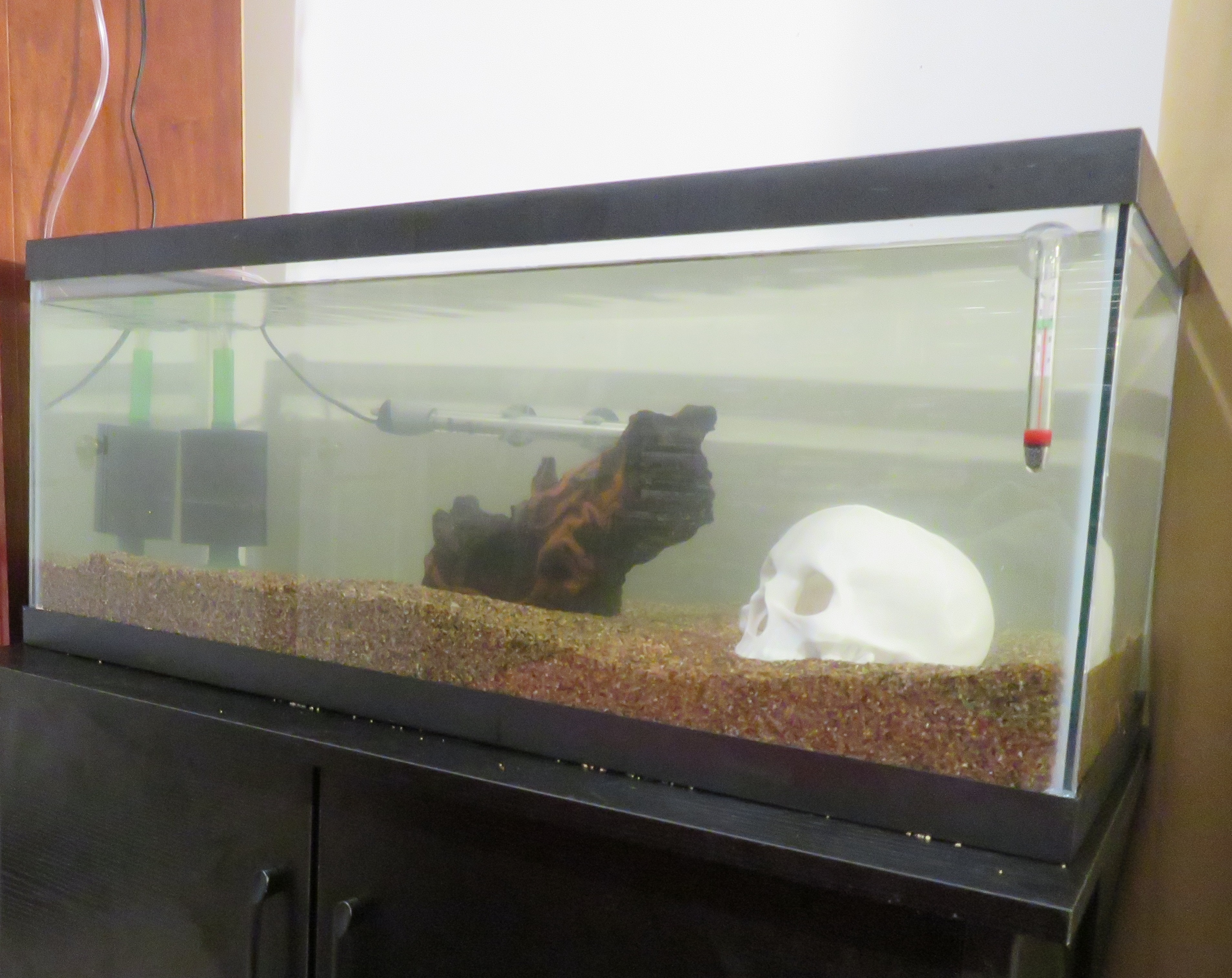 Empty Fish Tank Ideas