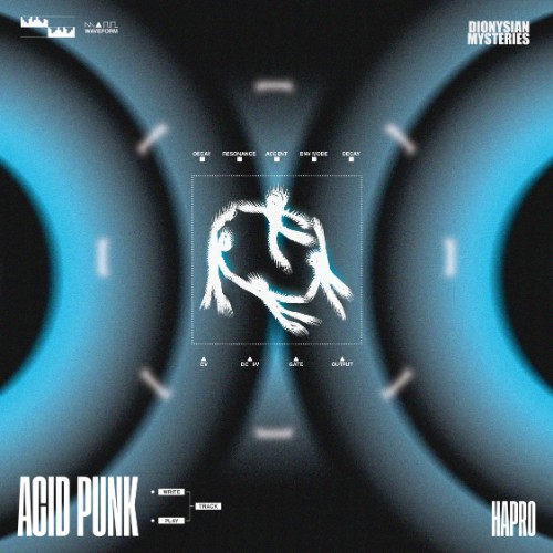 00-hapro-acid-punk-dmc039-web-2026-cover