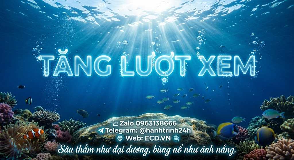 tăng view tự nhiên reel