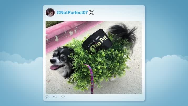 [Image: z2pvc0wla7k1.jpg]