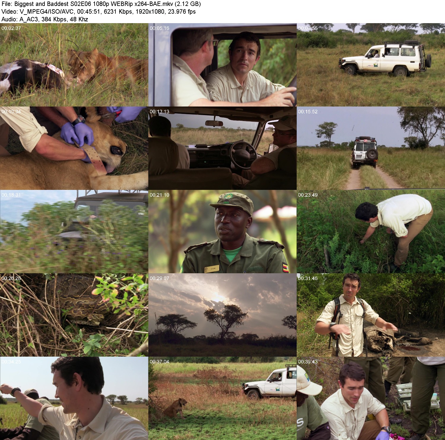 [Image: 0ard8e97vkor.jpg]