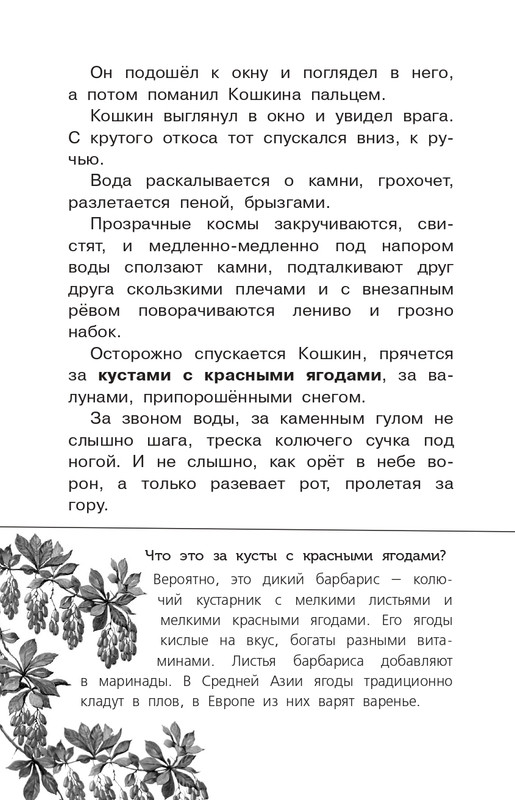 Koval-Jurij-Alyj-page-0105