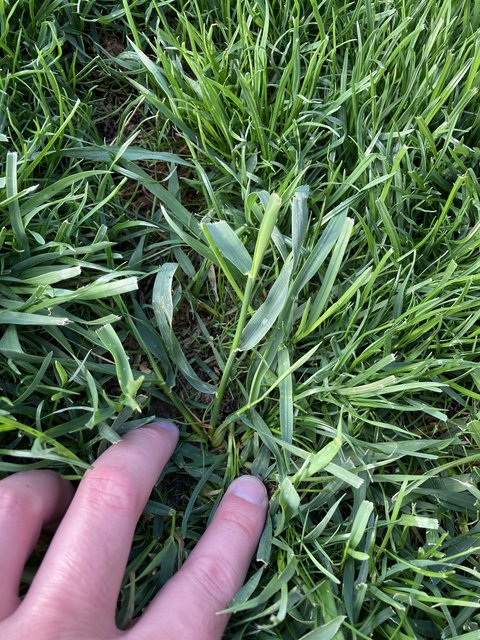 62B8DB6A-68DE-4100-B79E-678DAA2A8817