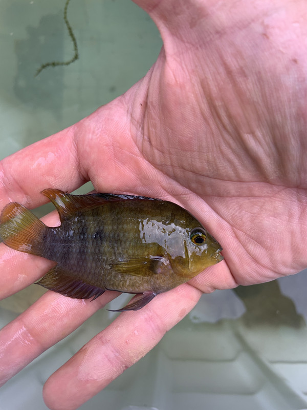 802A9E9C-376E-48CD-A167-43FE4D068498