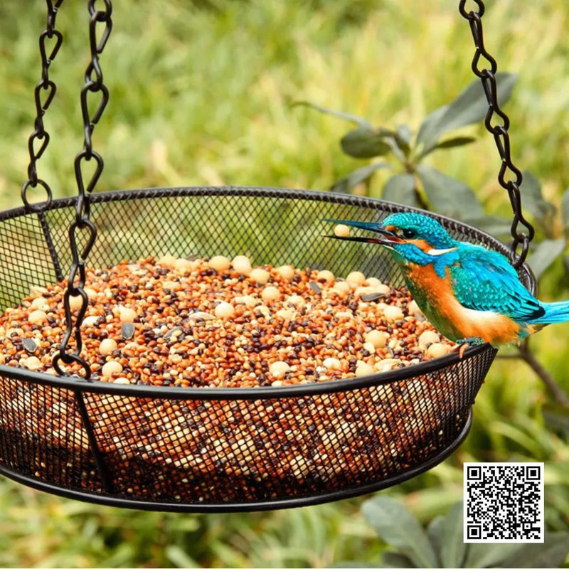 Why Fall is the Perfect Time to Start Feeding Birds?