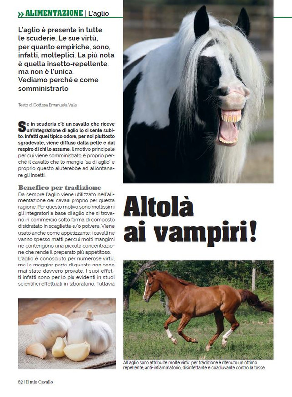 Il Mio Cav (Lug-Ago 2023) 11