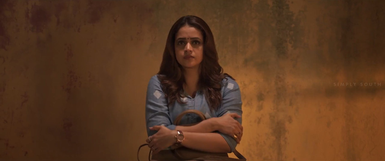 The Door 2025 WebRip [Hindi + Tamil] 480p 720p ESub Screenshot