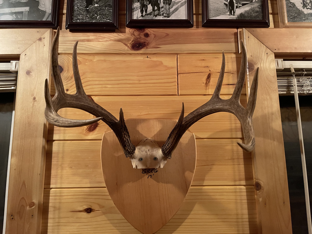 F09ED0CF-D13D-421A-B836-0071F5EC5B3B