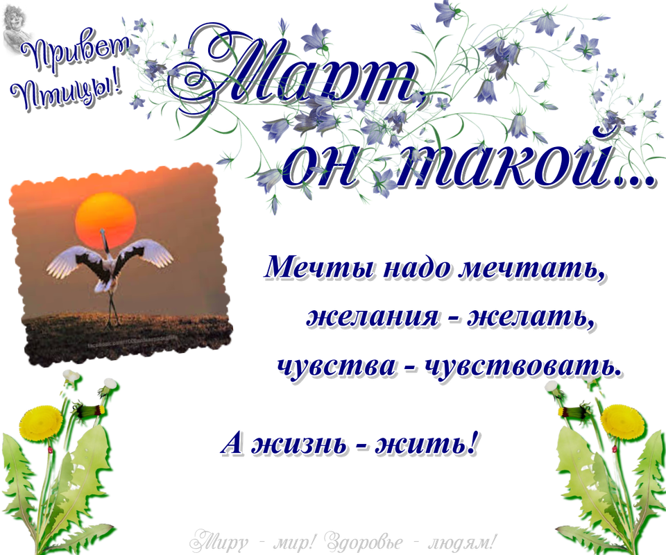 https://i.postimg.cc/3J0q1Yhz/31-03.png