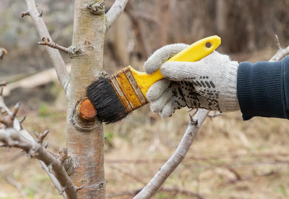 Снимок экрана 2026 01 20 151532