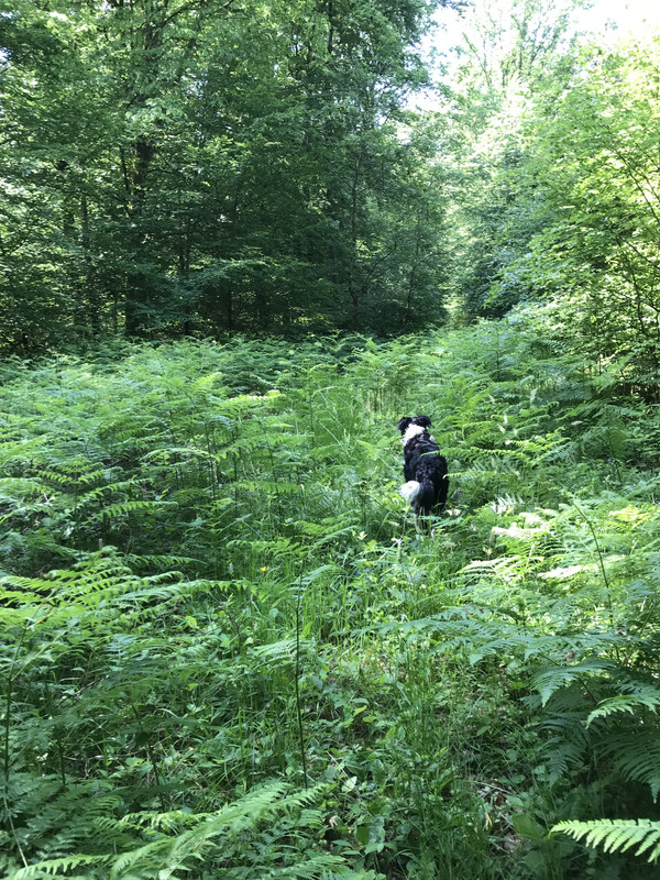 E676C63B-F356-47B7-9702-01DCDAA66140