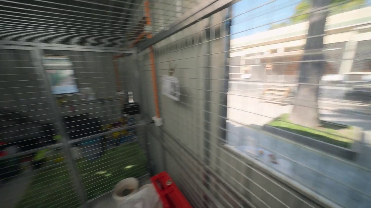 The Mole (US, S06E08) 4