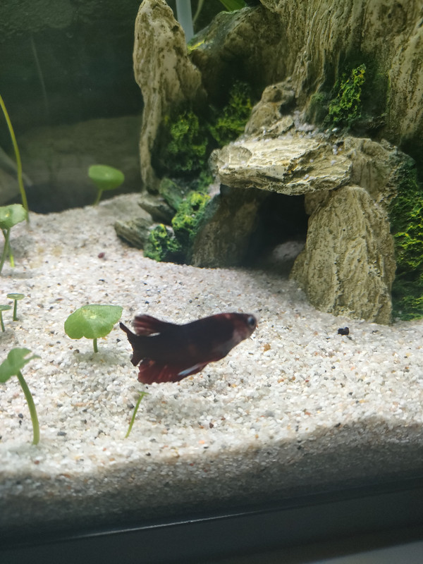 16720063432841898589030108887341