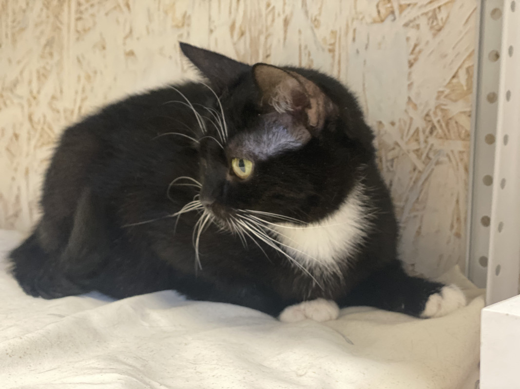 E77B27F0-7F0C-4276-B81A-E429FE039522