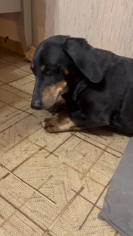 VID-20250705-WA0034(1)